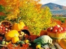 AUTUMN
