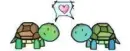 Turtle Love