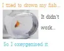 Oxeygenising Fish