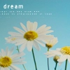 Dream