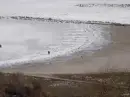 Sea
