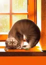 Cat.