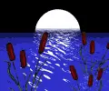 moon over pond