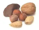 mixed nuts