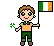 Flag of Ireland