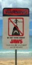 Jaws