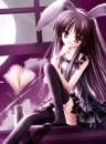 Violet Bunny at a Window