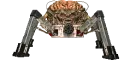 alien robot