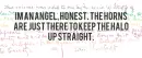 angel