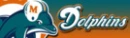 Miami Dolphins