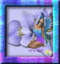 purple iris