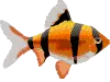 wiggle fish
