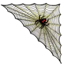 spider corner