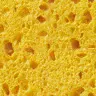 sponge