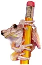 pencil frog