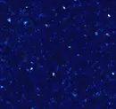 blue sapphire