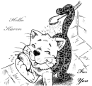 Kotek