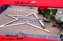 Michael Jackson, King, Stars, MJ