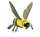 crawling bee