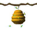 bee hive