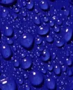 blue raindrops