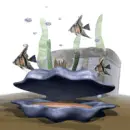 clam aquarium