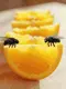 flies on orange