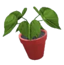 spinning plant