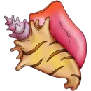 SEA SHELL