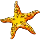STAR FISH