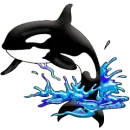 WHALE