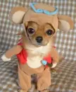 Dog in costume