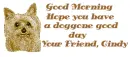 Doggone good day Cindy