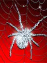 diamond spider