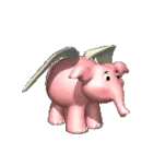 elephantbird