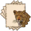 leopard squared