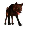 dark wolf