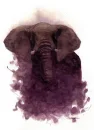 elephant clip