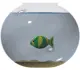 goldfish bowl