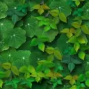 leaves wall