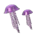 two jellyfish