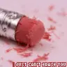 can't erase you