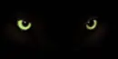 Cat eyes