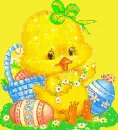 Easter Chickie