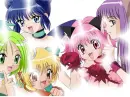 tokyo mew mew