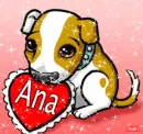 ana cute dog