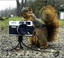 saycheese