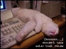 Ishouldn'thaveeaten...