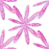 Pink blossoms
