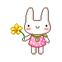 cute bunny
